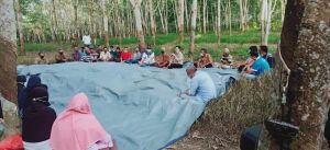 Dialog di Tengah Kebun Karet, Ini Harapan Petani kepada Al Haris