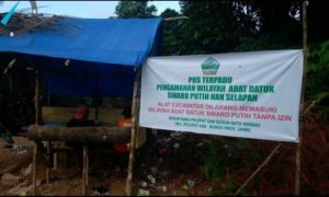 Pemangku Adat Berharap Pertambangan Rakyat di Batu Kerbau Segera Dilegalkan 