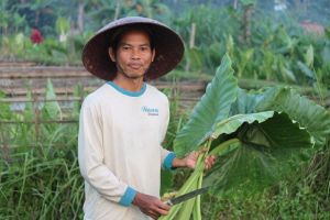 AwanTunai Gandeng SayurBox Untuk Akses Pembiayaan Terjangkau ke UMKM Petani di Indonesia