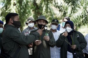 Kepala BRGM Roadshow 3 Provinsi  untuk Koordinasi Restorasi Gambut dan Rehabilitasi Mangrove