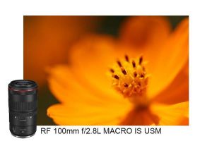 Canon RF 100mm f/2.8L MACRO IS USM, Lensa Tele Makro Pertama di Dunia dengan Pembesaran 1,4x