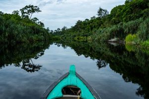 Peatland Business Hub, Fitur Baru Pantau Gambut  untuk Tingkatkan Potensi Komoditas di Lahan Gambut