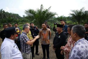 OJK Dorong Peningkatan Akses Pendanaan untuk Petani Sawit