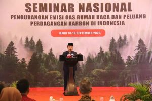Gubernur Al Haris : Jambi Punya Karbon Yang Luar Biasa