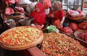 Inflasi Januari 2024 Didorong oleh Kenaikan Harga Kelompok Volatile Foods