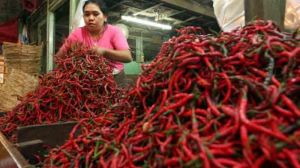 Inflasi Provinsi Jambi Melandai