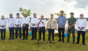 Gerakan Penanaman Serentak, Jambi Tanam 201 Ribu Bibit Pohon