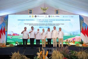 Pemerintah dan BI Perkuat Ketahanan Pangan dan Pengendalian Inflasi Melalui GPIPS