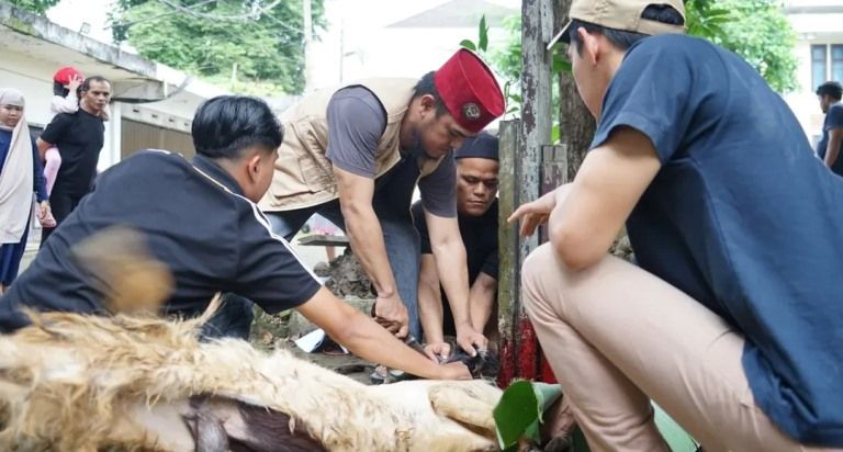 Sekretariat DPRD Kota Jambi Sembelih Hewan Kurban