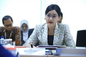 OECD Apresiasi Reformasi OJK Dalam Sektor Asuransi dan Dana Pensiun