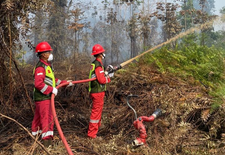 Di Balik Kabut Asap Tanjabtim: Pasukan Pemadam PetroChina Tiap Hari Bantu Satgas Karhutla